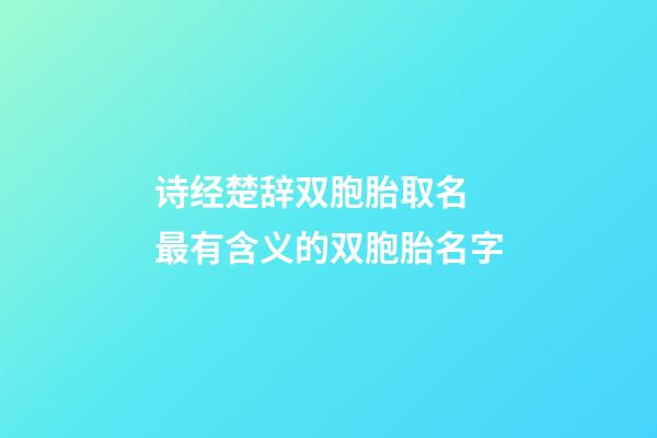 诗经楚辞双胞胎取名 最有含义的双胞胎名字
